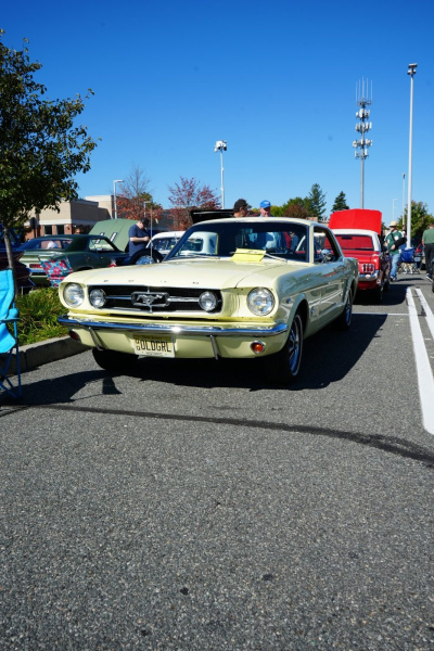 DSC06395