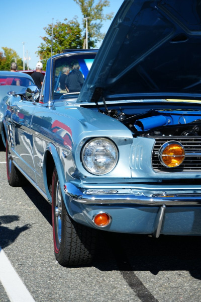 DSC06404